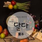韓国語で「量る」とは?【달다】意味を勉強しよう!