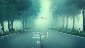 韓国語で「開く」とは？【트다】意味を勉強しよう！