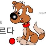 韓国語で「転がる」とは?【구르다】意味を勉強しよう!
