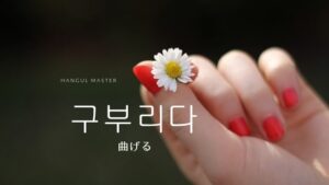 韓国語で「曲げる」とは？【구부리다】意味を勉強しよう！