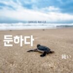 韓国語で「鈍い」とは？【둔하다】意味を勉強しよう！