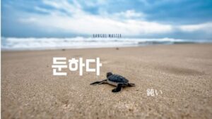 韓国語で「鈍い」とは？【둔하다】意味を勉強しよう！