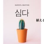 韓国語で「植える」とは?【심다】意味を勉強しよう!