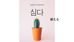 韓国語で「植える」とは？【심다】意味を勉強しよう！