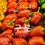 韓国語で「区分」とは?【구분】意味を勉強しよう!