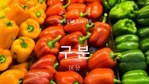韓国語で「区分」とは？【구분】意味を勉強しよう！