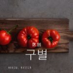 韓国語で「区別」とは?【구별】意味を勉強しよう!