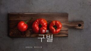 韓国語で「区別」とは？【구별】意味を勉強しよう！