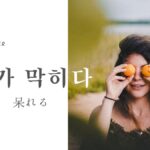 韓国語で「呆れる」「素晴らしい」とは?【기가 막히다】を活用する!