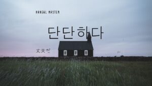 韓国語で「丈夫だ」とは?【단단하다】意味を勉強しよう!