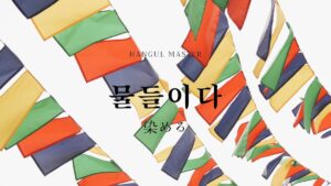韓国語で「染める」とは？【물들이다】意味を勉強しよう！