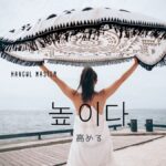 韓国語で「高める」とは？【높이다】意味を勉強しよう！