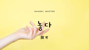 韓国語で「放す」とは?【놓다】意味を勉強しよう!
