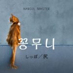 韓国語で「しっぽ／尻」とは？【꽁무니】意味を勉強しよう！