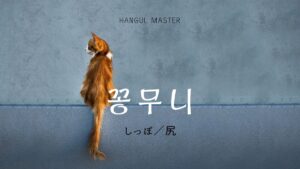 韓国語で「しっぽ/尻」とは?【꽁무니】意味を勉強しよう!