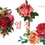 韓国語で「情熱」とは?【열정】意味を勉強しよう!