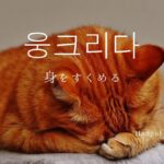 韓国語で「うずくまる」とは?【웅크리다】意味を勉強しよう!