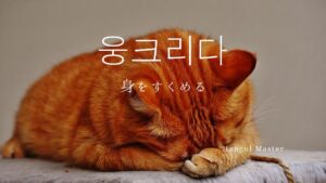 韓国語で「うずくまる」とは？【웅크리다】意味を勉強しよう！