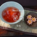 韓国語で「文化」とは?【문화】意味を勉強しよう!