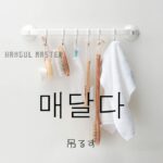 韓国語で「吊るす」とは?【매달다】意味を勉強しよう!