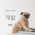 韓国語で「開発」とは?【개발】意味を勉強しよう!