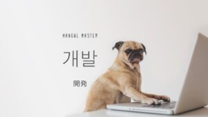 韓国語で「開発」とは?【개발】意味を勉強しよう!