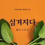 韓国語で「植えられる」とは?【심겨지다】意味を勉強しよう!