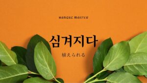 韓国語で「植えられる」とは？【심겨지다】意味を勉強しよう！