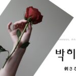 韓国語で「刺さる」とは？【박히다】意味を勉強しよう！