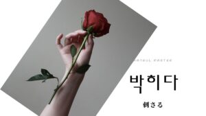 韓国語で「刺さる」とは？【박히다】意味を勉強しよう！