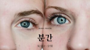 韓国語で「見分け」とは?【분간】意味を勉強しよう!