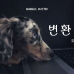 韓国語で「変換」とは?【변환】意味を勉強しよう!