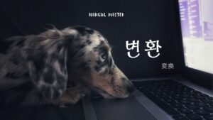 韓国語で「変換」とは?【변환】意味を勉強しよう!