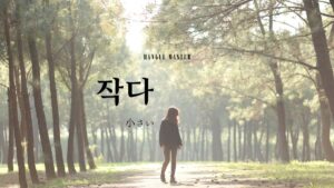 韓国語で「小さい」とは?【작다】意味を教えて!