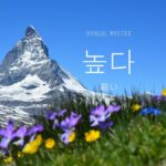 韓国語で「高い」とは？【높다】意味を教えて！