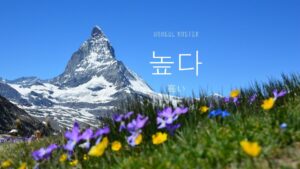 韓国語で「高い」とは?【높다】意味を教えて!