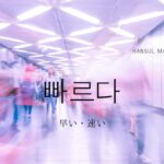 韓国語で「速い」とは？【빠르다】意味を勉強しよう！