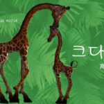 韓国語で「高い」とは？【크다】意味を教えて！