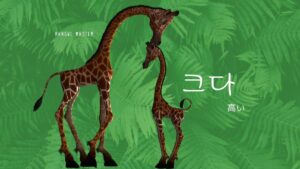 韓国語で「高い」とは?【크다】意味を教えて!