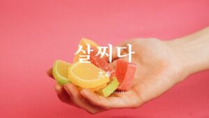 韓国語で「太る」とは?【살찌다】意味を勉強しよう!