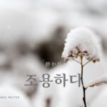 韓国語で「静かだ」とは？【조용하다】意味を勉強しよう！