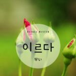 韓国語で「早い」とは?【이르다】意味を勉強しよう!