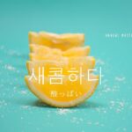 韓国語で「すっぱい」とは？【새콤하다】意味を勉強しよう！