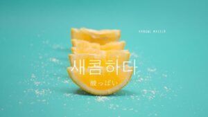 韓国語で「すっぱい」とは？【새콤하다】意味を勉強しよう！