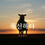 韓国語で「ふかふかだ」とは?【푹신하다】意味を勉強しよう!