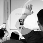 韓国語で「答え」とは？【답】意味を勉強しよう！