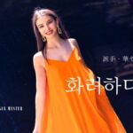 韓国語で「派手だ(華やか)」とは？【화려하다】意味を勉強しよう！