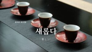 韓国語で「新しい」とは?【새롭다】意味を勉強しよう!