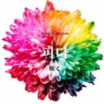 韓国語で「咲く」とは？【피다】意味を勉強しよう！