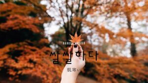 韓国語で「肌寒い」とは？【쌀쌀하다】意味を勉強しよう！